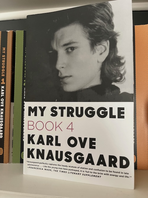 My Struggle Book 4