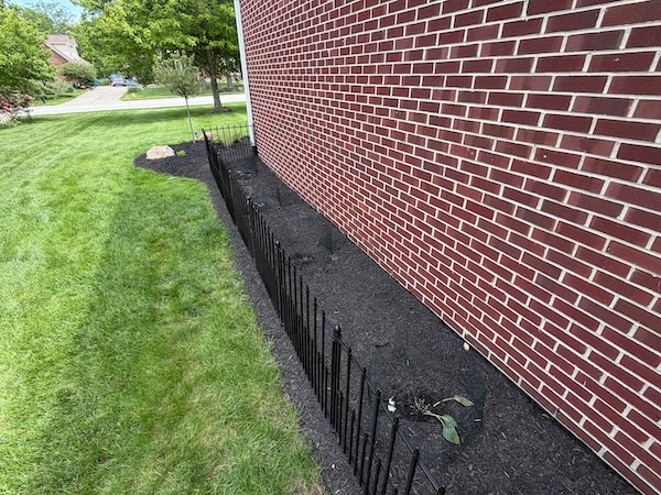 Side Yard