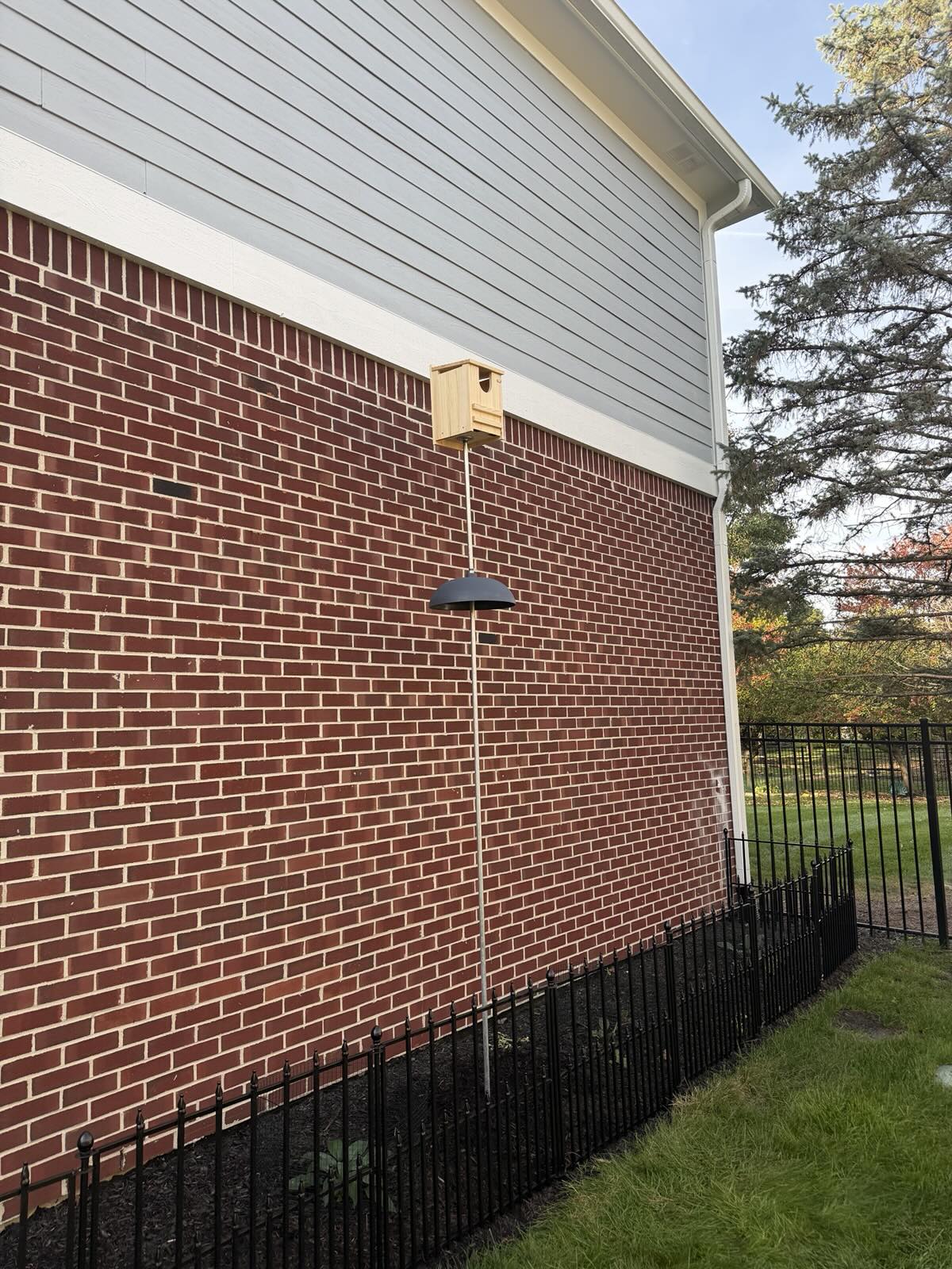 Owl House