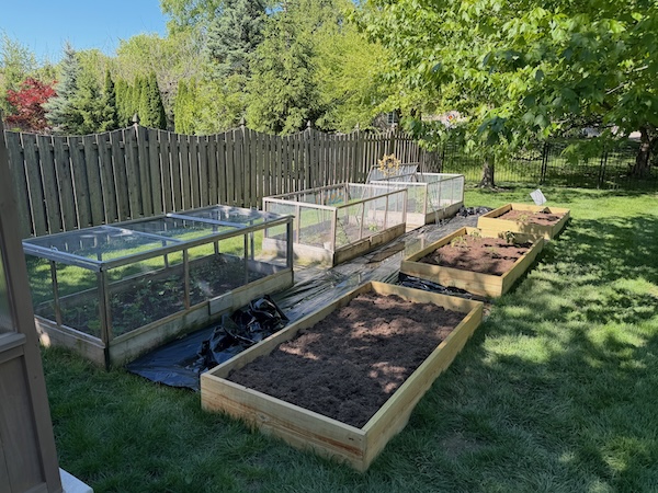 The Garden