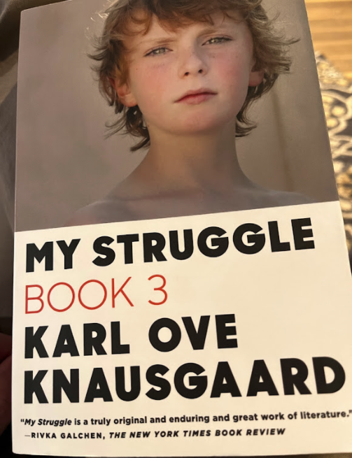 My Struggle Book 3